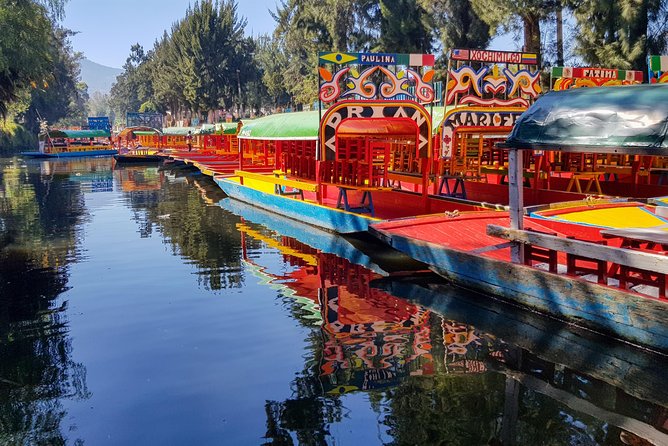 Xochimilco, Coyoacan, Azteca Stadium, UNAM - Tour Overview and Itinerary