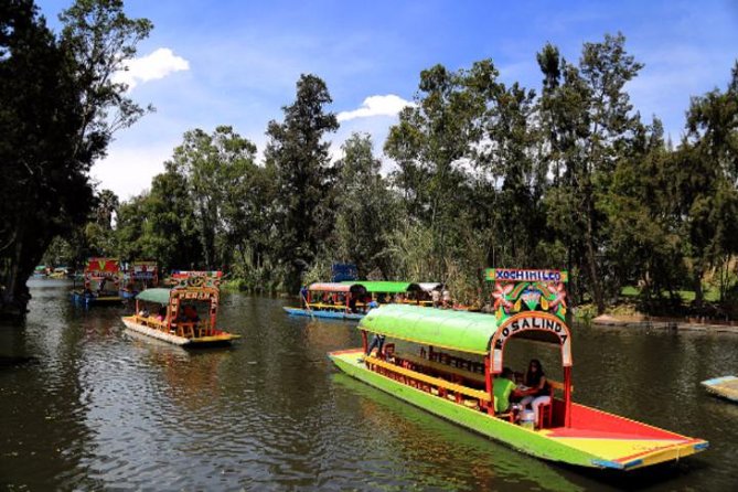 XOCHIMILCO & COYOACAN (Private) - Traveler Photos and Tips