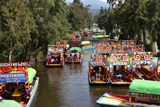 XOCHIMILCO & COYOACAN (Private) - Highlights and Challenges
