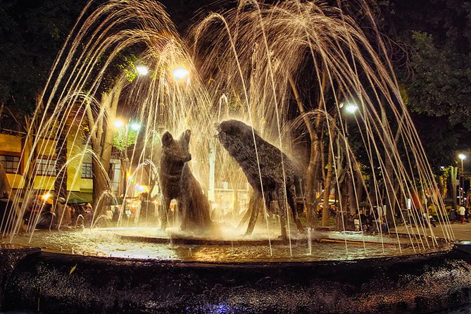 XOCHIMILCO & COYOACAN (Private) - Overall Recommendations