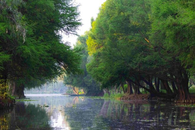 Xochimilco Day Trip: Farmland Food and Hop on a Trajinera - Inclusions and Exclusions