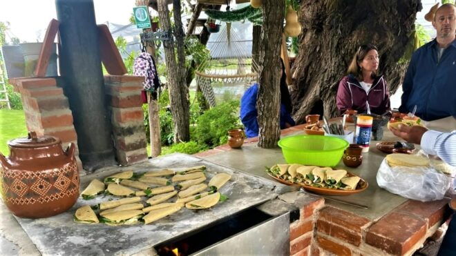 Xochimilco Day Trip: Farmland Food and Hop on a Trajinera - Important Information