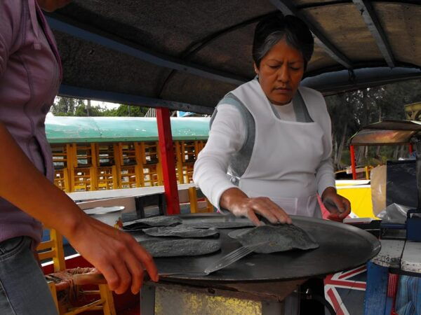 Xochimilco Day Trip: Farmland Food and Hop on a Trajinera - Pickup Locations and Transportation