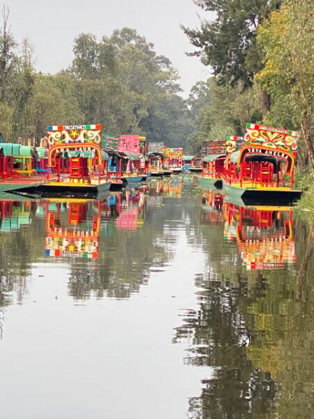 Xochimilco: Eco Tour With Food - Eco-Friendly Experiences