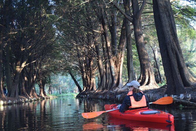 Xochimilco in Kayak - Discovering Xochimilco: A Natural and Cultural Escape in Mexico City
