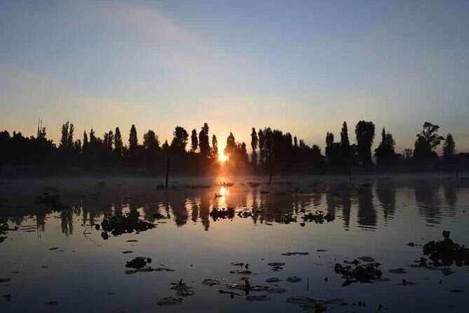 Xochimilco in Kayak - The Sum Up: The Value of a Calm, Cultural Escape