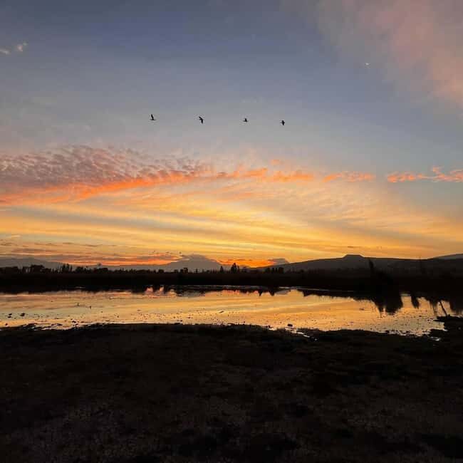Xochimilco: Kayak ride at sunrise with breakfast - Who Should Consider This Tour?