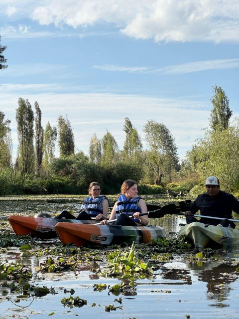 Xochimilco Kayak Tour - Experience Highlights