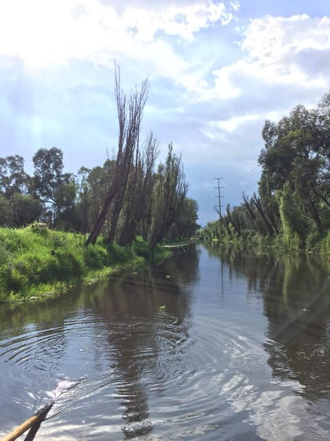 Xochimilco Marvels: A Culinary and Cultural Journey - Experience Highlights