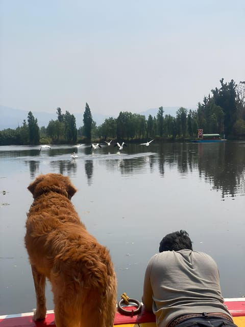 Xochimilco Marvels: A Culinary and Cultural Journey - Environmental and Cultural Insights
