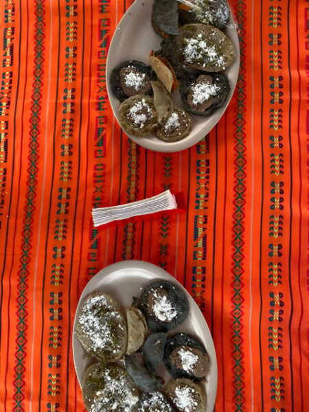 Xochimilco Marvels: A Culinary and Cultural Journey - Discovering Chinampas and Native Flora