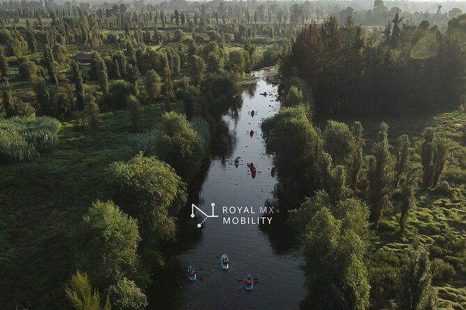 Xochimilco on a Kayak at Sunrise: Breakfast & Transportation - Pricing and Booking Details
