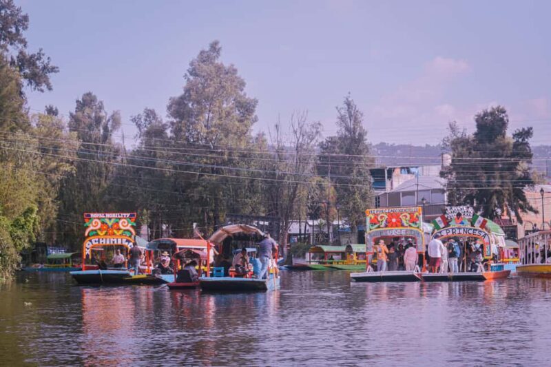 Xochimilco: Party on a trajinera with food, drinks, and music - Why this tour is worth considering