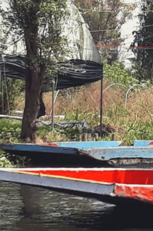 Xochimilco: Private Magic Christmas Boat Tour - Experience Highlights