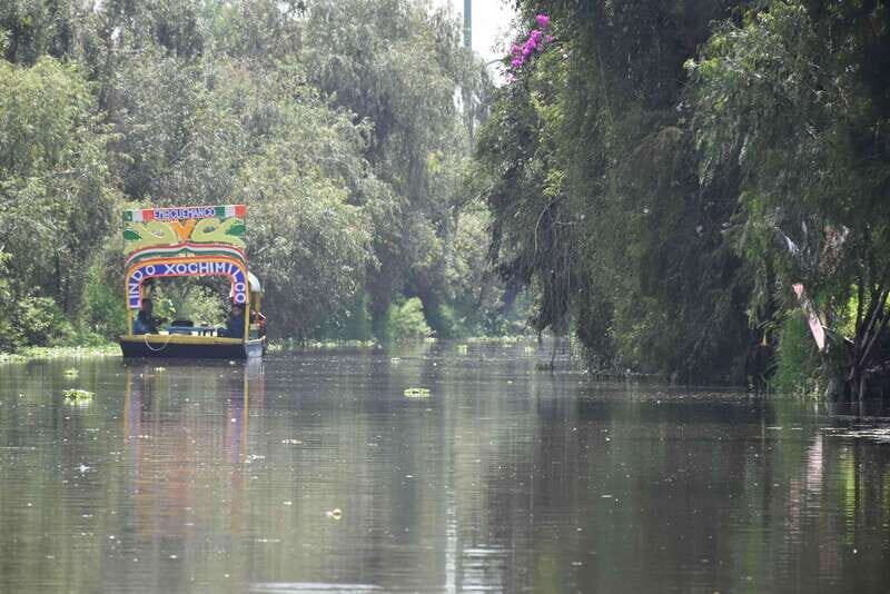 Xochimilco Serene: A Calm Cultural Escape from the Crowds - Good To Know