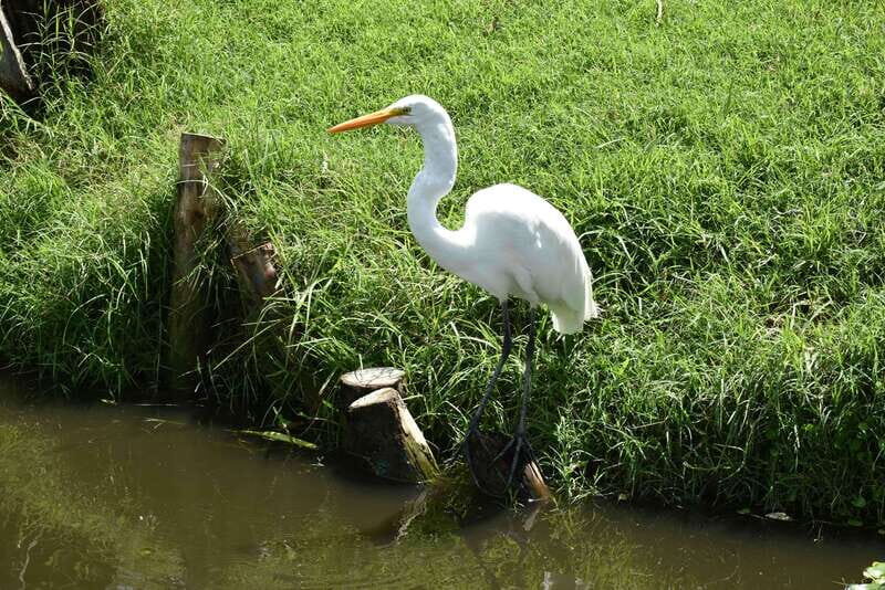 Xochimilco Serene: A Calm Cultural Escape from the Crowds - The Value of This Tour