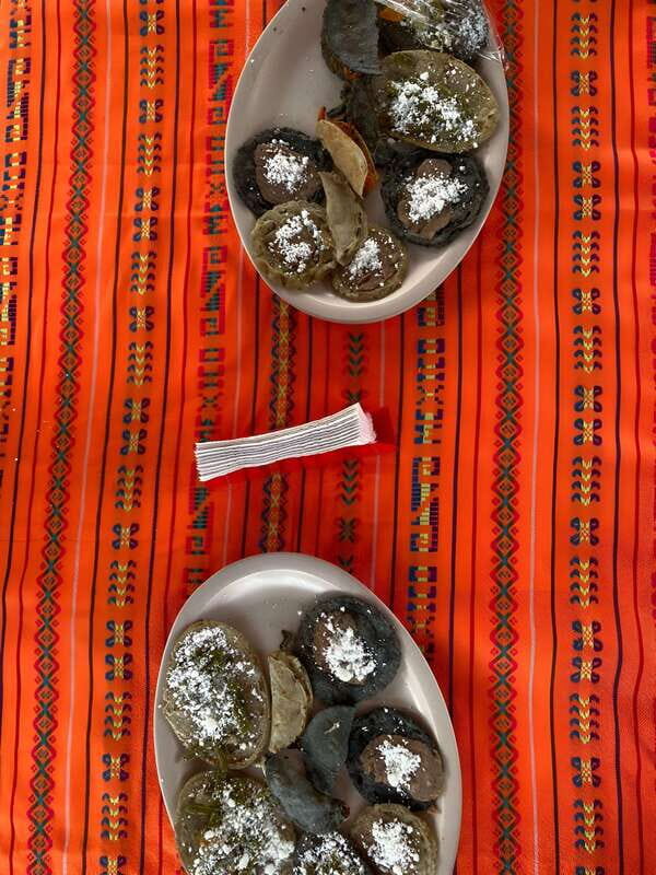 Xochimilco Serene: A Calm Cultural Escape from the Crowds - Who Will Love This Tour?