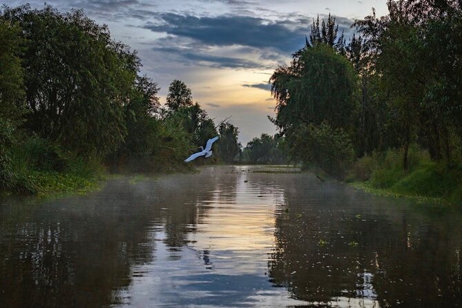 Xochimilco Sunrise From Mexico - Pricing and Lowest Price Guarantee