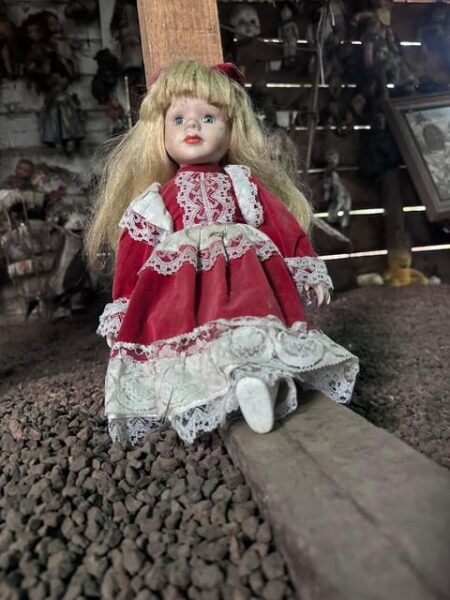 Xochimilco: the Island of the Dolls, Games and Drinks - Meeting Instructions