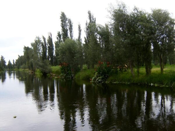 Xochimilco Tour: Explore All Around the Awesome Town - Important Information