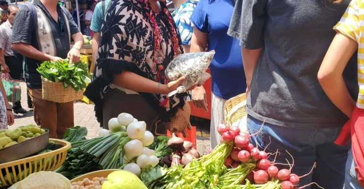 Xochimilco's Market, Food, and Nature! All Included! - Good To Know