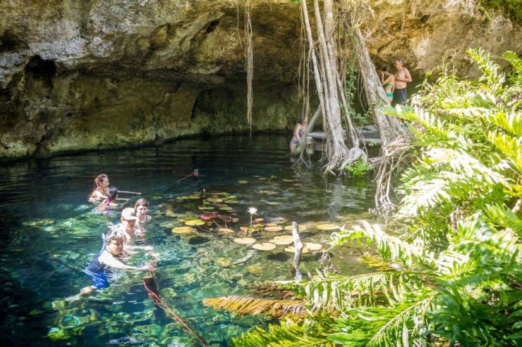 Xtun Cenote Underground Caverns Tour & Open Cenote Swim - Experience Highlights