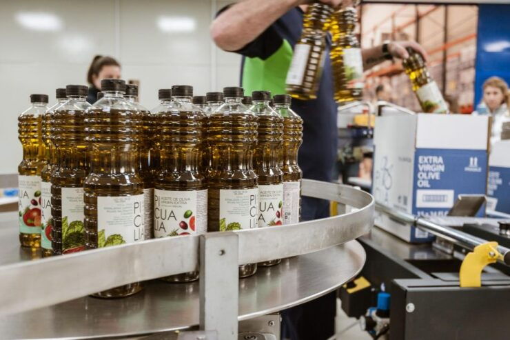 XXI Century Olive Oil Mill Tour - Experience Highlights