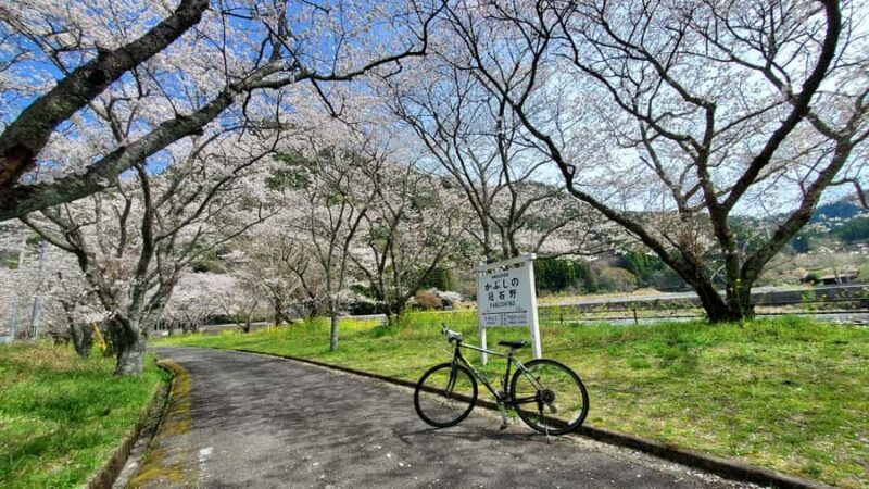 Yabakei Gorge Countryside Cycling Tour - Tasting the Rural Life
