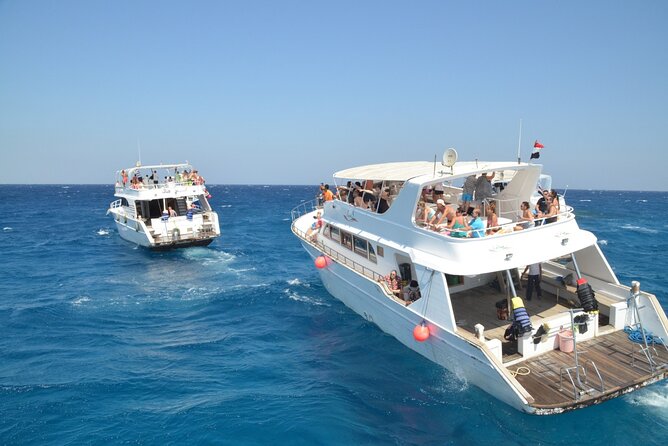 Yachting to Dolphin House With Lunch in Hurghada - Additional Details