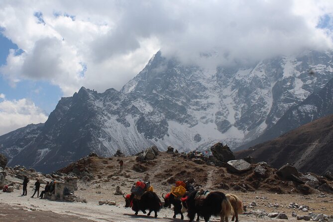 Yak Trekking to the Roof of the World: A Journey to Mount Everest - Preparing for the Trekking Adventure