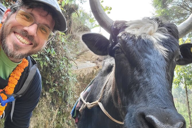 Yak Trekking to the Roof of the World: A Journey to Mount Everest - Unforgettable Memories at the Roof of the World