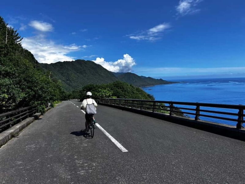 Yakushima: E-Bike Rental Plan (Pick-Up & Drop-Off Included) - Exploring Yakushima on an E-Bike: An Honest Review