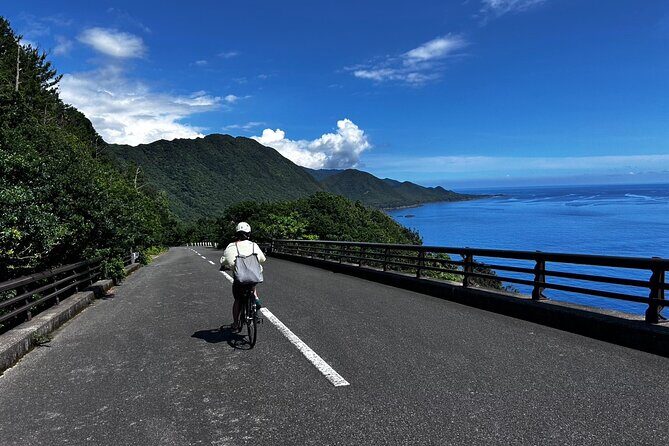 Yakushima Electric Bike Rentals - Why Ride an Electric Bike on Yakushima?