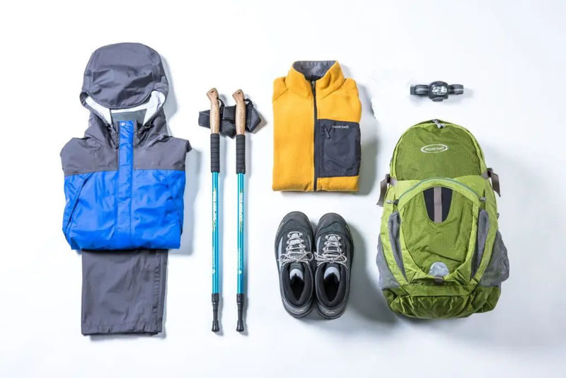 Yakushima Hiking Tour - Should you book this Yakushima hike?