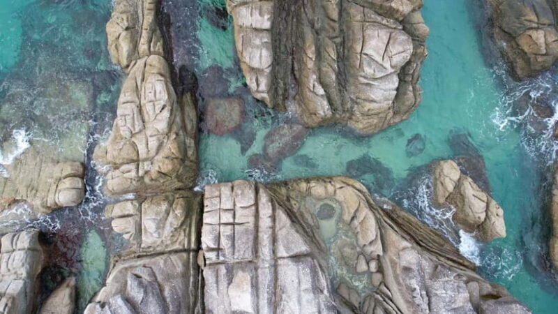 Yakushima: Private Guided Tour - The Fully Customized Itinerary