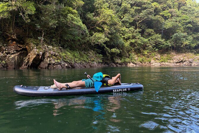 Yakushima Stand Up Paddle Boarding Adventure - What to Expect from the Yakushima SUP Tour