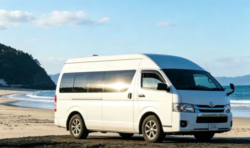 Yakushima Yakusugi Land & Waterfalls Private Tour - A private ride between forest and falls