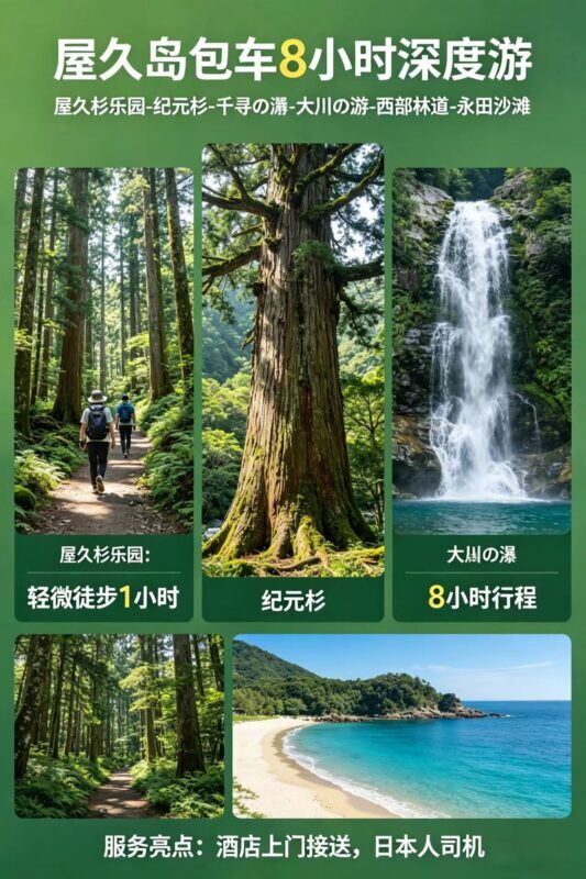 Yakushima Yakusugi Land & Waterfalls Private Tour - What Yakusugi Land adds to the day