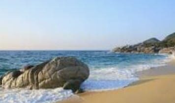 Yakushima Yakusugi Land & Waterfalls Private Tour - Lunch help is useful, but plan dinner carefully
