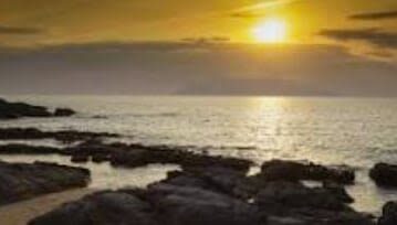 Yakushima Yakusugi Land & Waterfalls Private Tour - Is $14.19 good value?