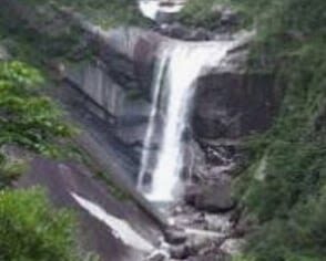 Yakushima Yakusugi Land & Waterfalls Private Tour - Who should choose this outing?