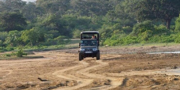 Yala: All-Inclusive Off-Road Adventure From Hambantota - Experience Highlights