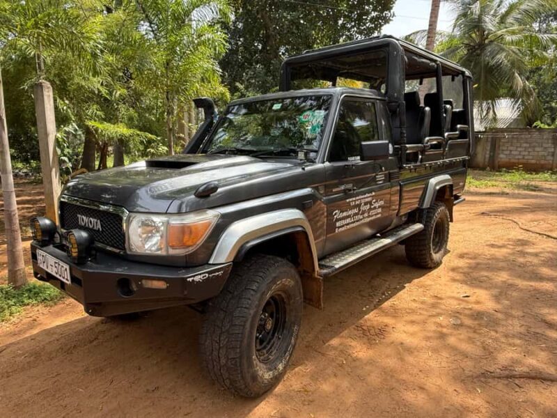 Yala and Udawalawe National Park Safari one Day-All included - Who Is This Tour Best For?