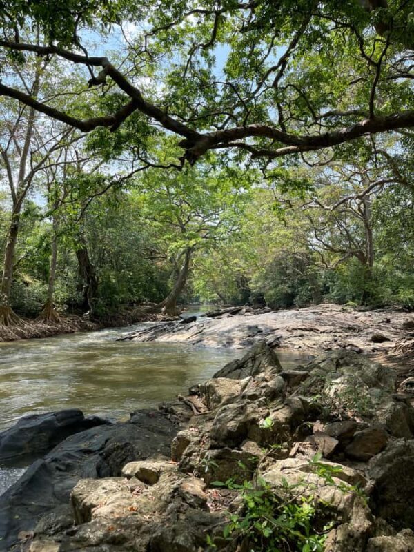 Yala: Bike and Tuk Tuk Tour with Wildlife and Temple Visit - Good To Know