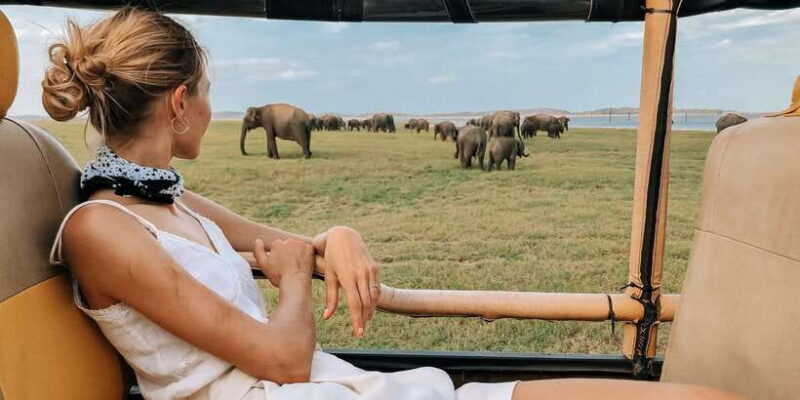 Yala Block 5: Private Morning or Evening Safari - Good To Know