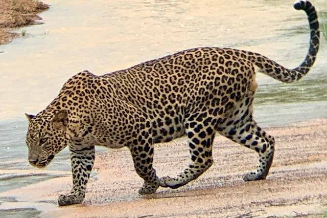 Yala Block 5 (Weheragala) Safari PRIVATE TOURS - Meeting and Pickup Points