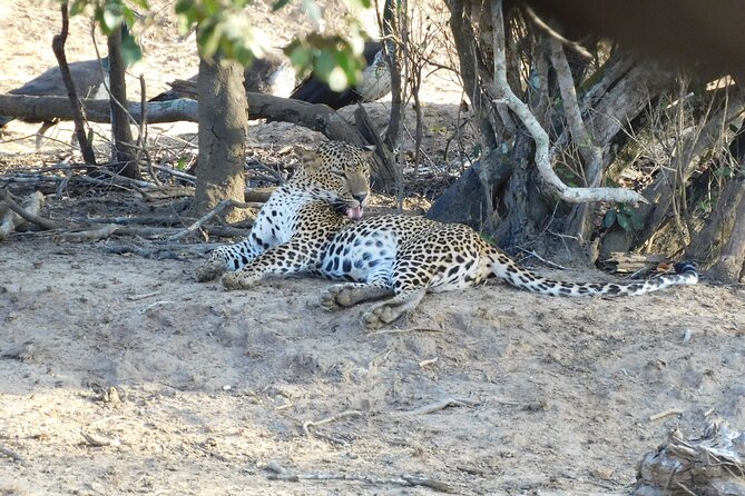 Yala Block 5 (Weheragala) Safari PRIVATE TOURS - Recommendations for Travelers