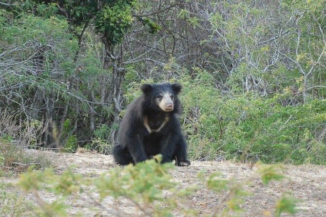 Yala Block 6 (Lunugamwehera) Safari PRIVATE TOURS - Cancellation Policy
