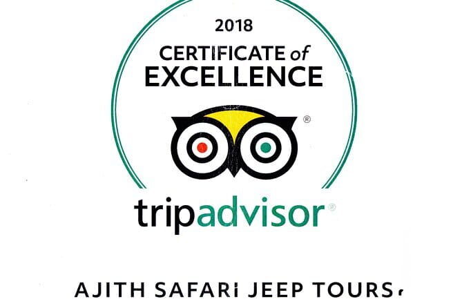 Yala Camping by Ajith Safari All Inclusive - A Detailed Look at the Yala Safari Camping Experience