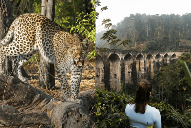 Yala Day Trip From Ella With Free Entrance and Food - Tour Inclusions
